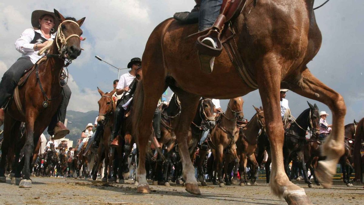 Andrea Padilla y Héctor Olimpo Espinosa expusieron posturas opuestas sobre el futuro de las cabalgatas y las medidas para proteger a los caballos.