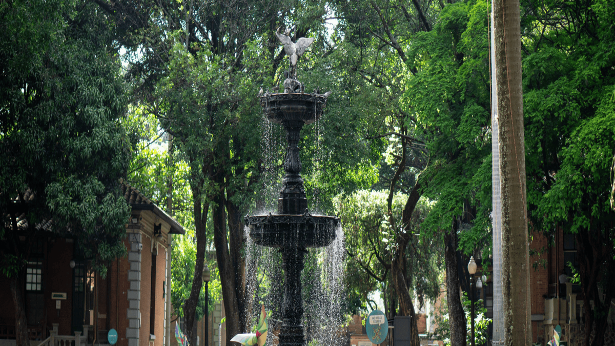 Hospital San Vicente Fundación