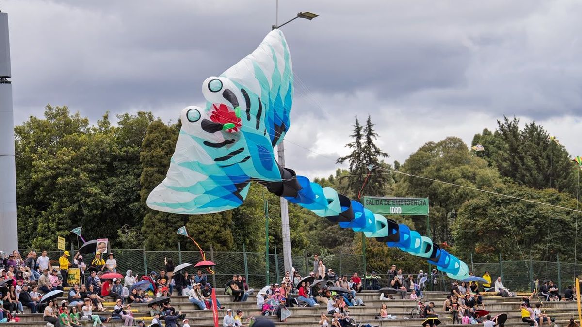 Festival de Cometas 2026