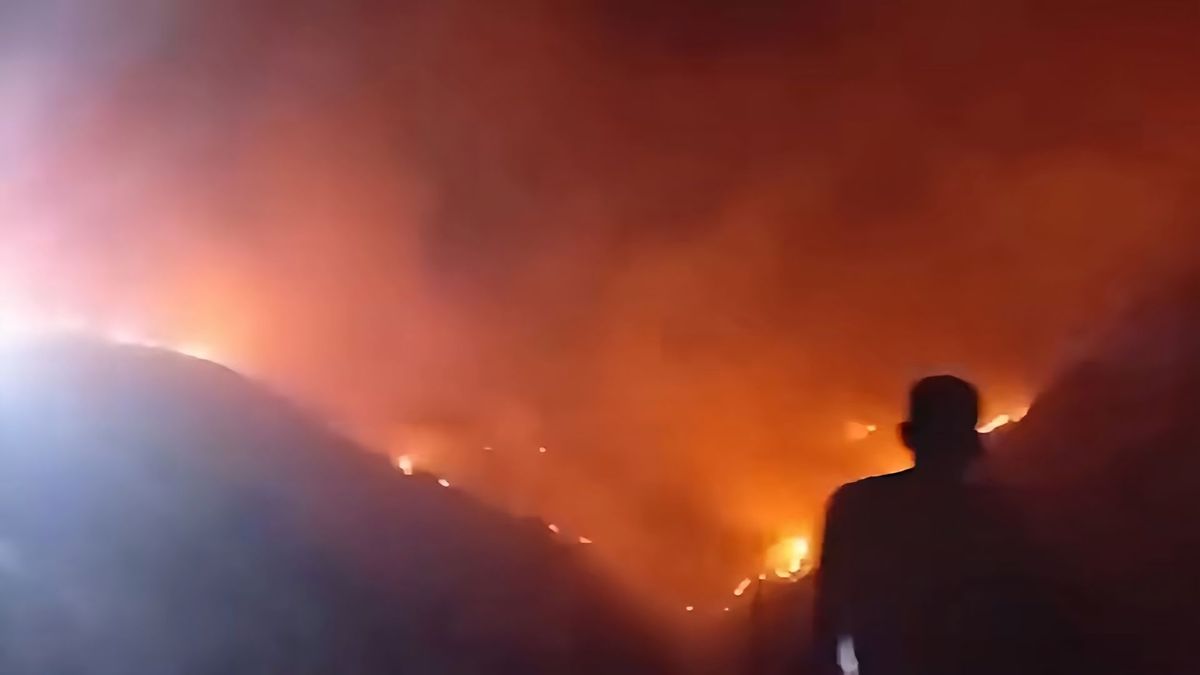 Incendio Forestal en el municipio de Los Andes Sotomayor (Nariño)