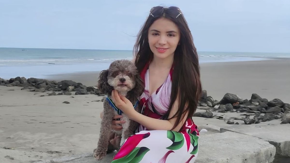 Salomón el perrito al que Lenny Ruiz le salvó la vida durante el terremoto en Cali