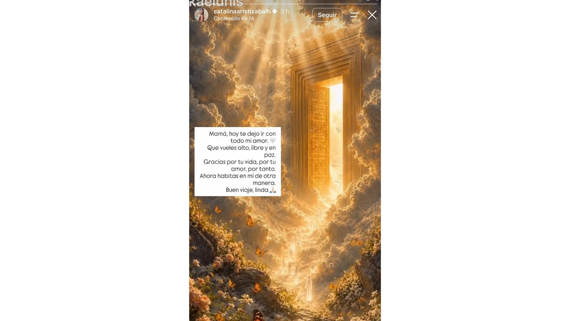 Catalina Aristizábal confirmó la muerte de su madre, Yamile Humar, con un mensaje publicado en sus historias de Instagram.