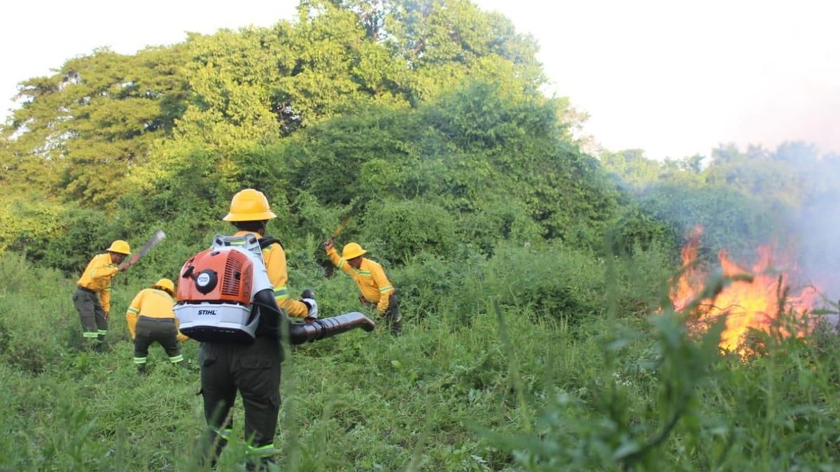 Incendios forestales