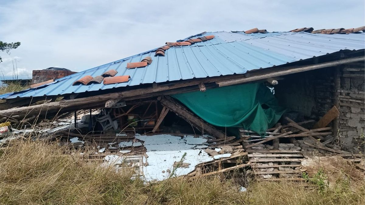 Varias viviendas colapsaron en medio del terremoto