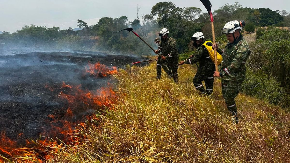 Más de 200 soldados atienden incendios forestales en Tolima