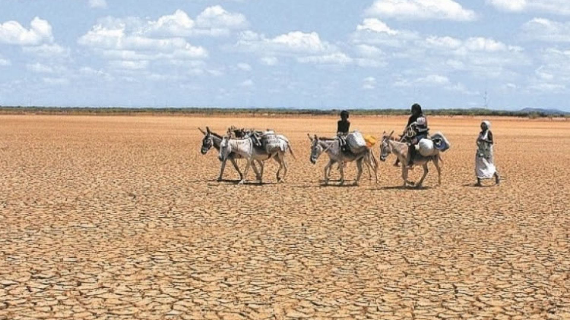 Efectos del Fenómeno de El Niño en La Guajira.