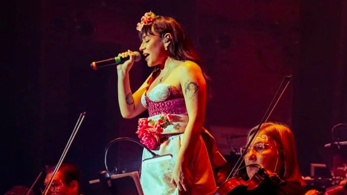 Sofía Castro, artista