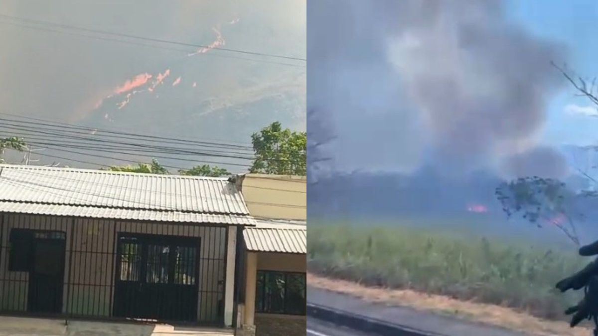 Incendios en el Tolima | Emergencia Gualanday | Emergencia Cenop en Tolima