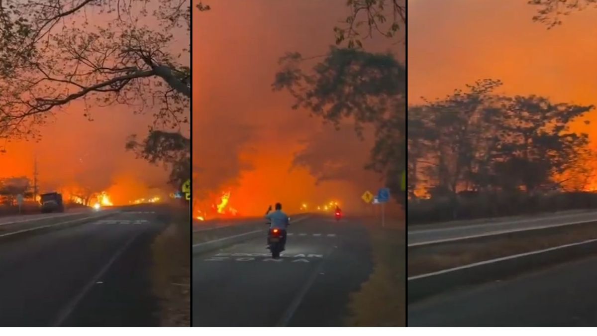 Incendio forestal en Gualanday, Tolima.