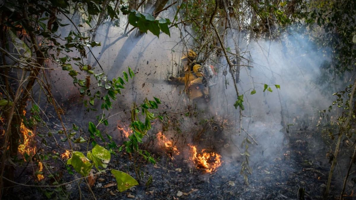 Incendio Tolima