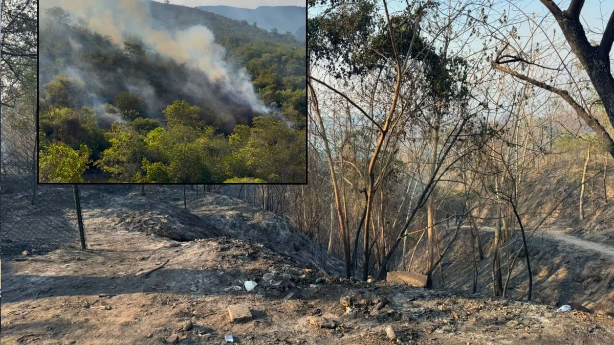 Incendios forestales en Gualanday, Tolima, Emergencia Humanitaria | Perdidas Materiales | Agosto 2026