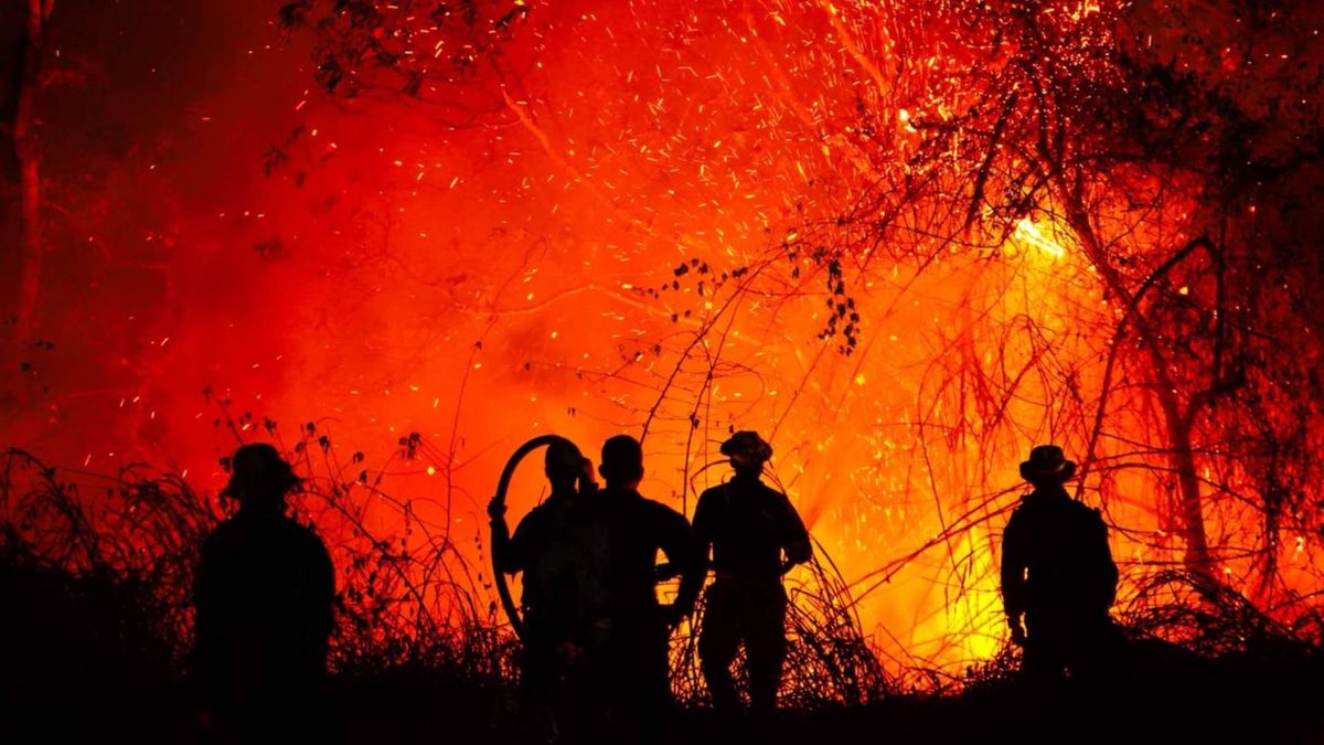 Incendio forestal en Coello | Incendio en Gualanday | Emergencia Gualanday