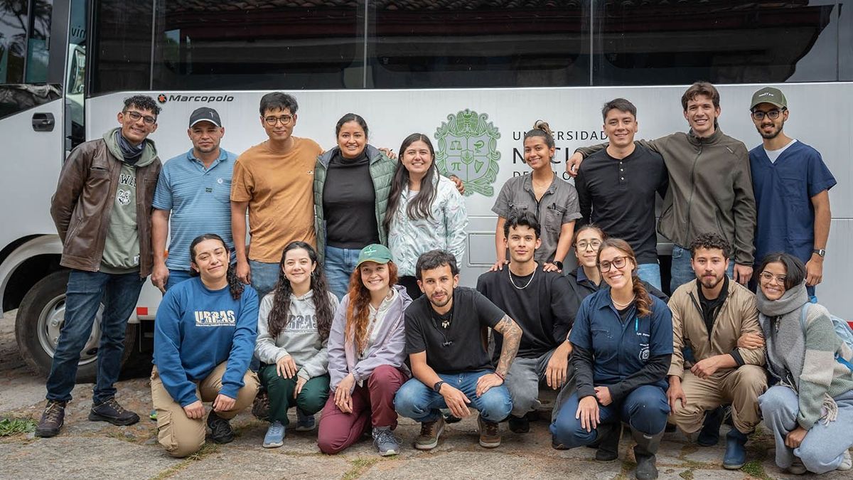 Médicos veterinarios viajan al Tolima para ayudar a los animales afectados por los incendios forestales.