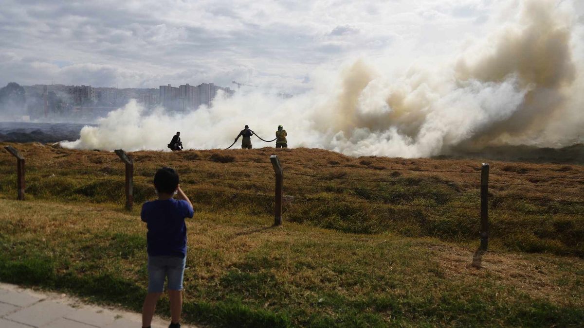 Los incendios forestales han afectado 22.319 hectáreas de cobertura vegetal en 28 municipios de Tolima.