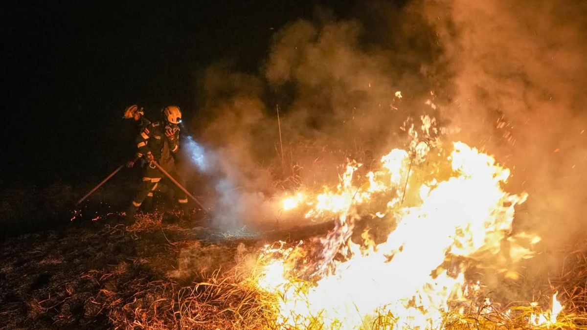 Incendios forestales en el Tolima | Emergencia por incendios | Incendios forestales