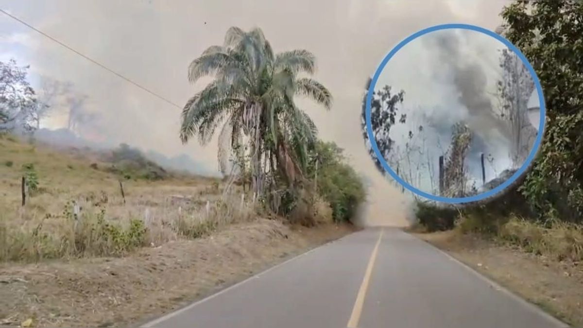 Incendios forestales