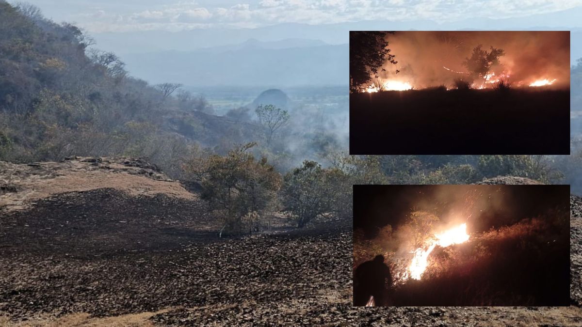 Incendio forestal en Armero Guayabal completa 10 días y amenaza fincas, animales y bosque seco tropical