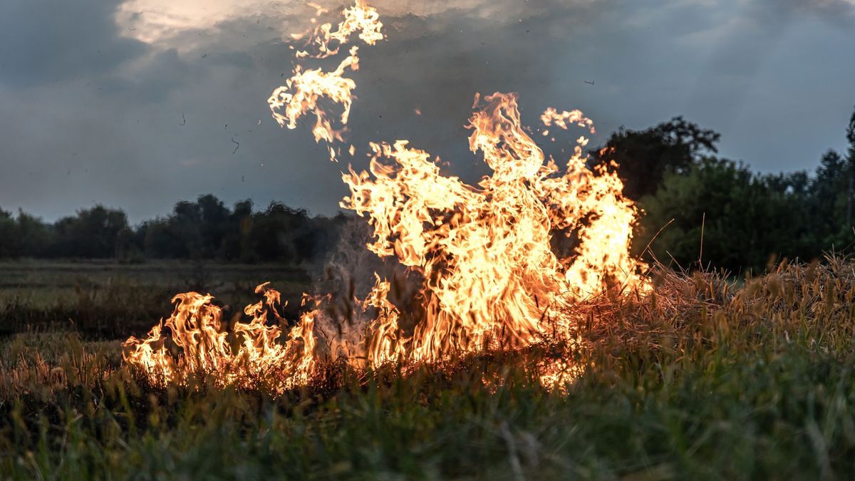 Incendios en Colombia: ¿Qué los provocan?