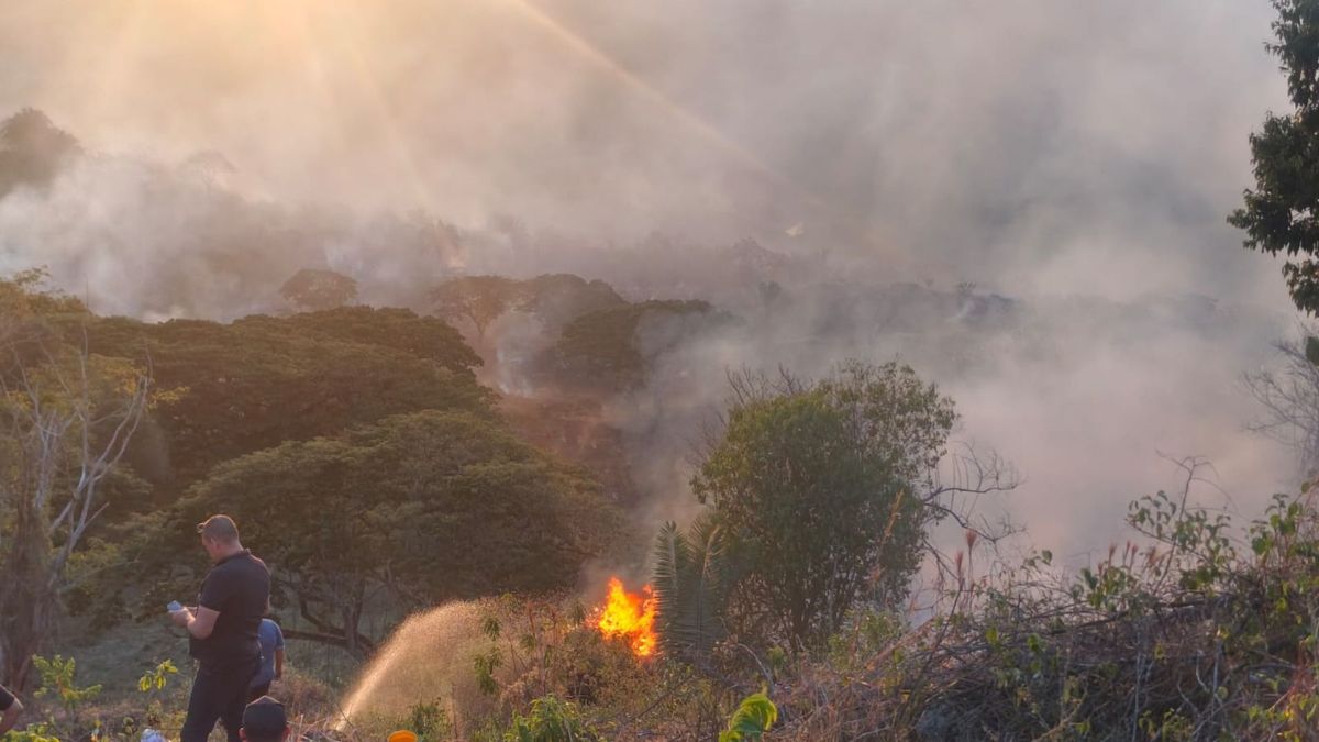 Emergencia en Cundinamarca por incendios forestales: en un solo día se presentaron 20 nuevas conflagraciones