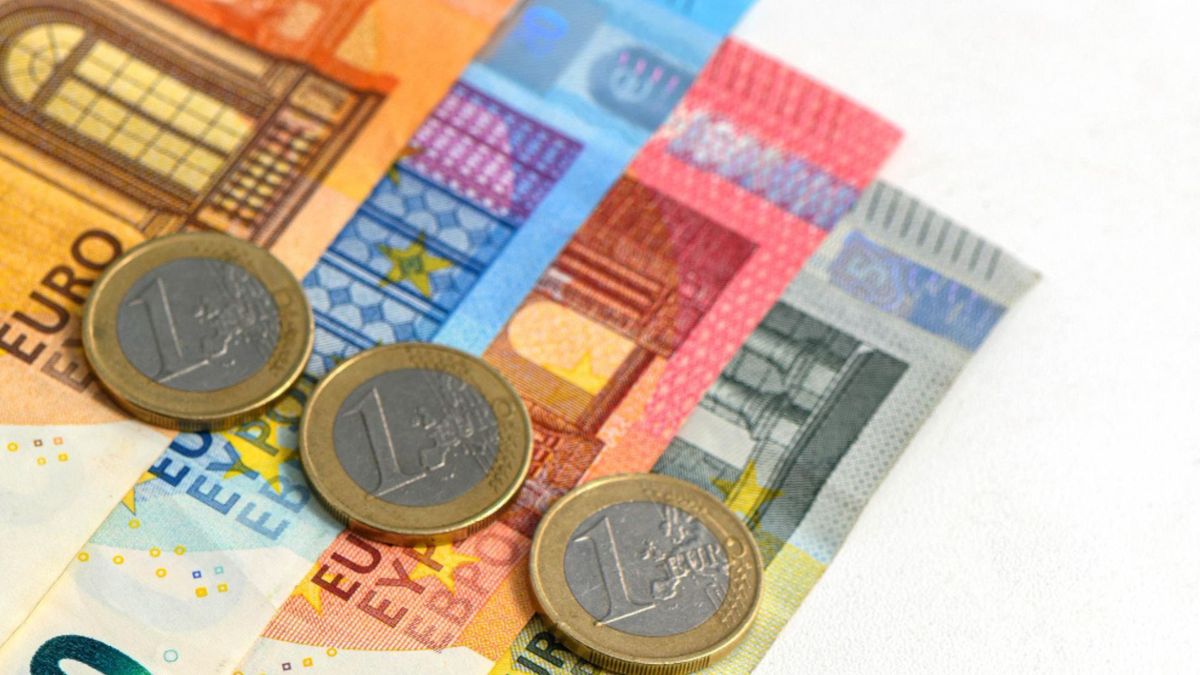 La cotización registrada durante una jornada no permite determinar cuál será el valor del euro en los siguientes días, semanas o meses.