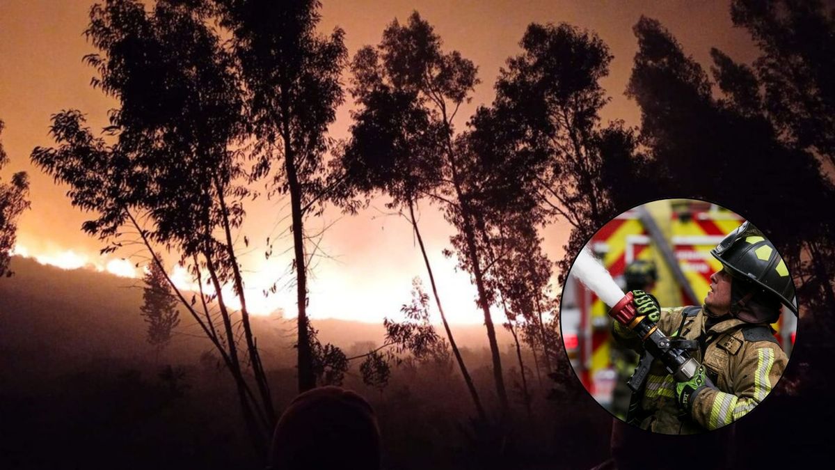 El Estado protege la naturaleza por medio de leyes estrictas.