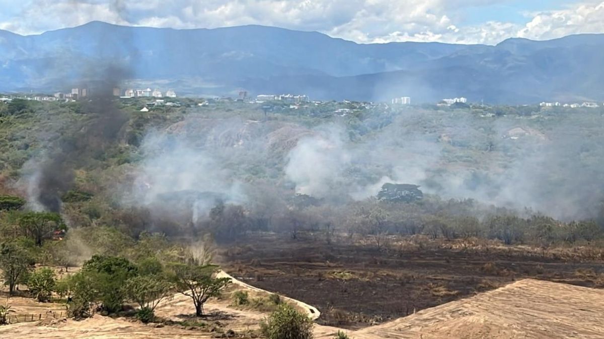 La emergencia también afecta a comunidades de municipios como Coello, donde el fuego llegó a zonas rurales y dejó daños en cultivos, terrenos y ganado.