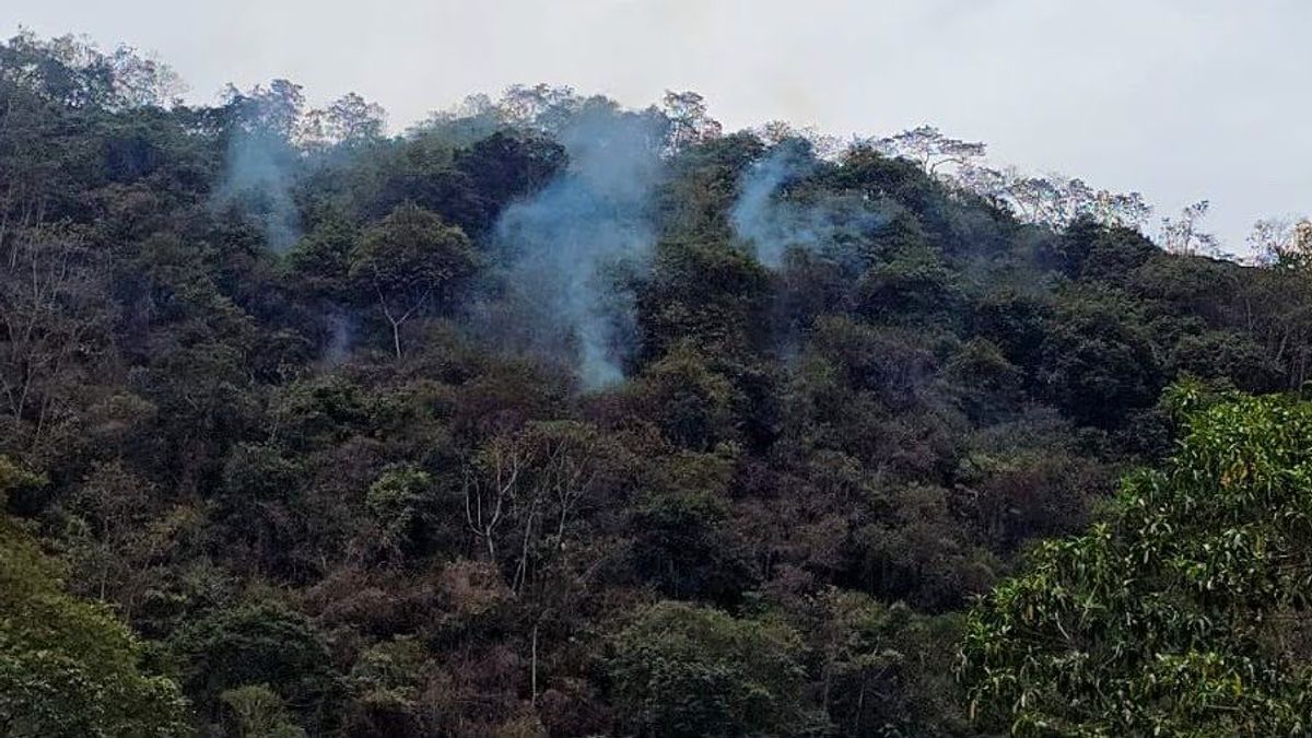 Persiste emergencia en Cundinamarca por incendios forestales: tres focos permanecen activos