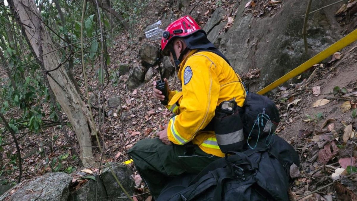 Bomberos de Antioquia apoyan atención de emergencia por incendios forestales en Tolima