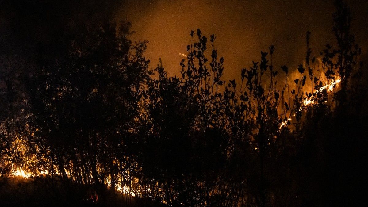 Incendio forestal en Coello, departamento de Tolima