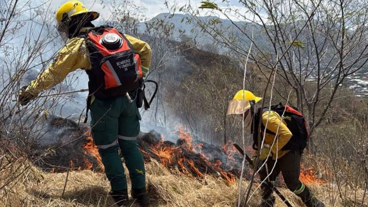 La emergencia amenaza zonas cercanas a los Páramos Pan de Azúcar y Los Domínguez.