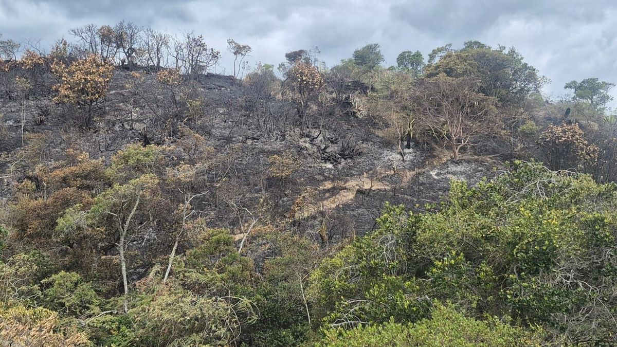 Incendio forestal en la vereda Valero de Ráquira, Boyacá