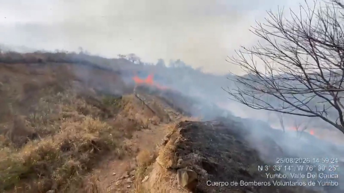 En el municipio de Yumbo, Valle del Cauca, se han originado múltiples afectaciones por los incendios forestales.