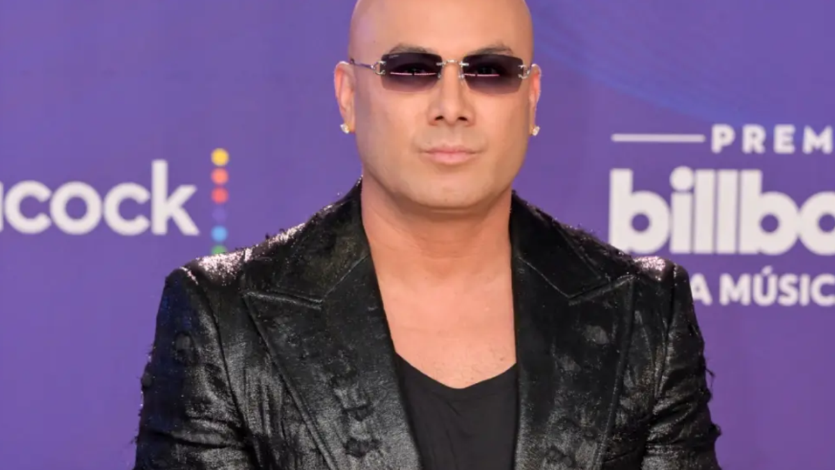 Wisin, artista