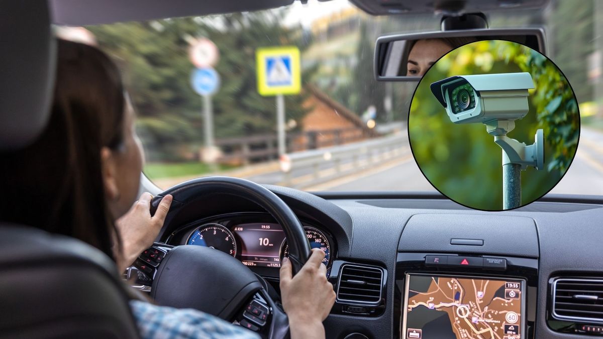 Reducción de multas para conductores.