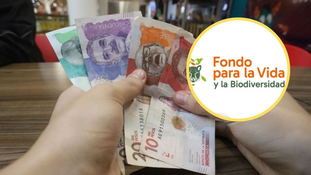 El Gobierno anunció una auditoría integral, externa e independiente al Fondo para la Vida y la Biodiversidad