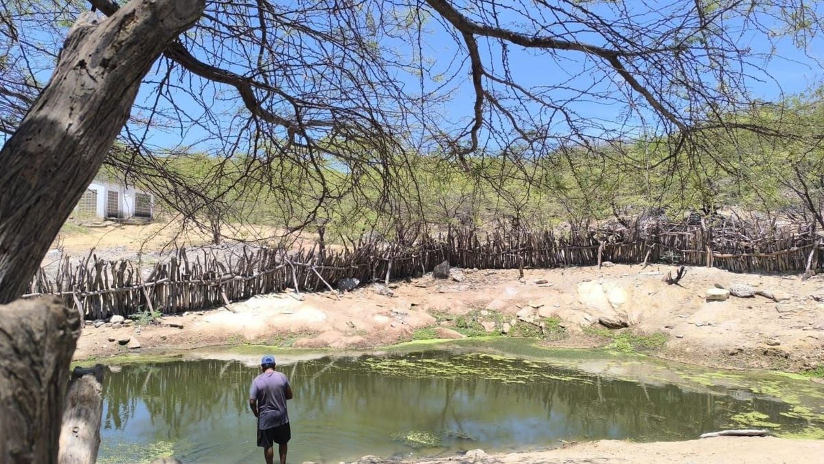 Jagueyes (reservorios superficiales) en la Alta Guajira.