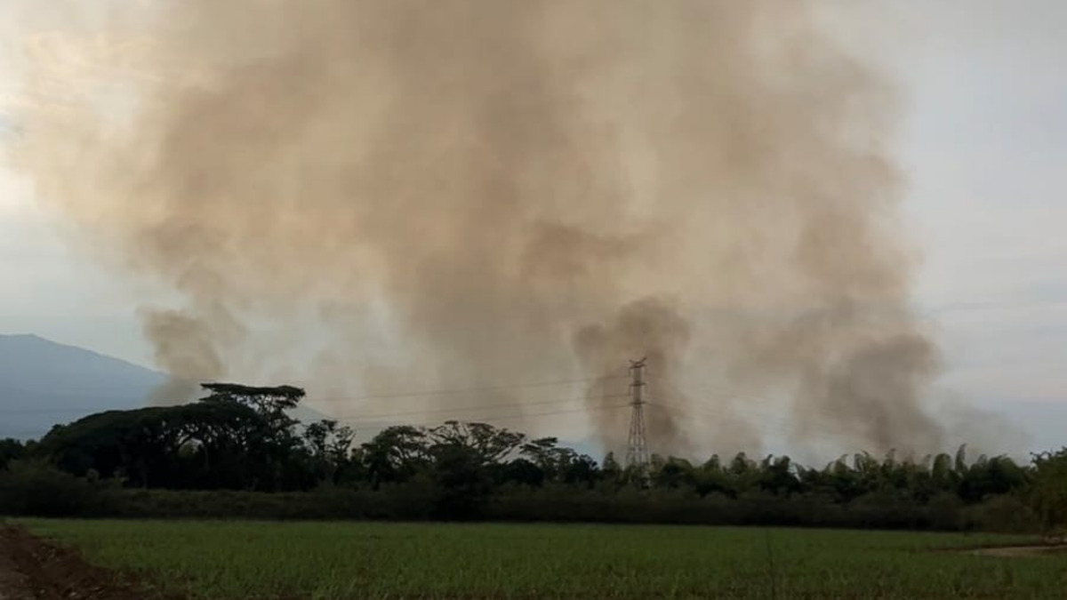 Los incendios forestales se han incrementado en los últimos meses en el Valle del Cauca.
