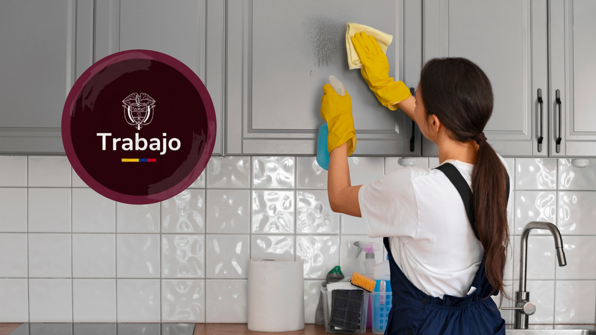 Mintrabajo empleadas domésticas