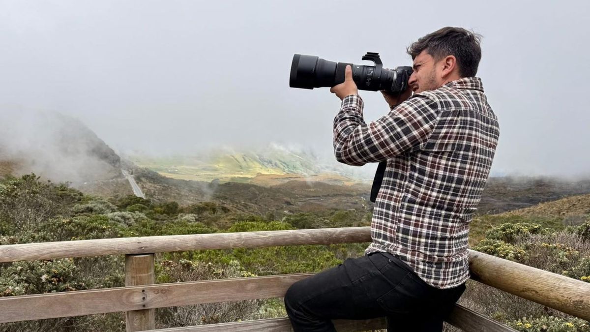 Periodista Pajarero