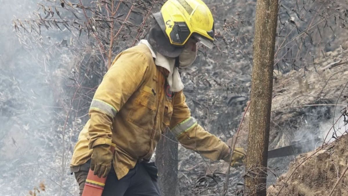 La emergencia fue atendida por más de 40 bomberos