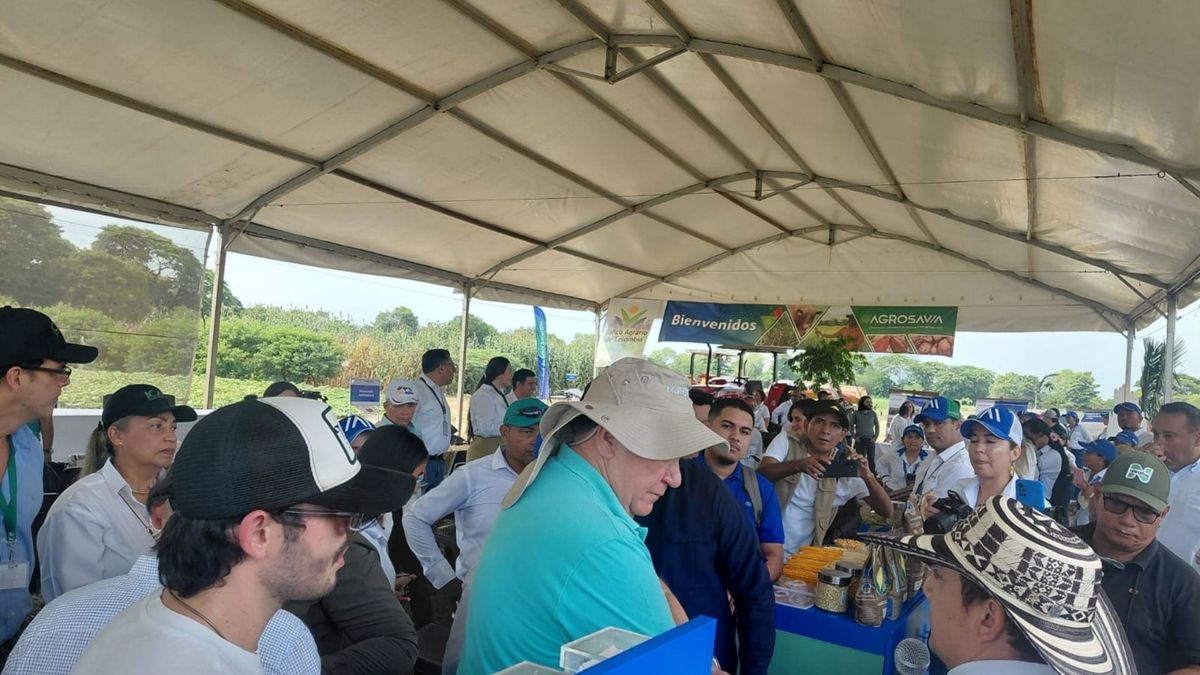 Ministro de Agricultura, Indalecio Dangond