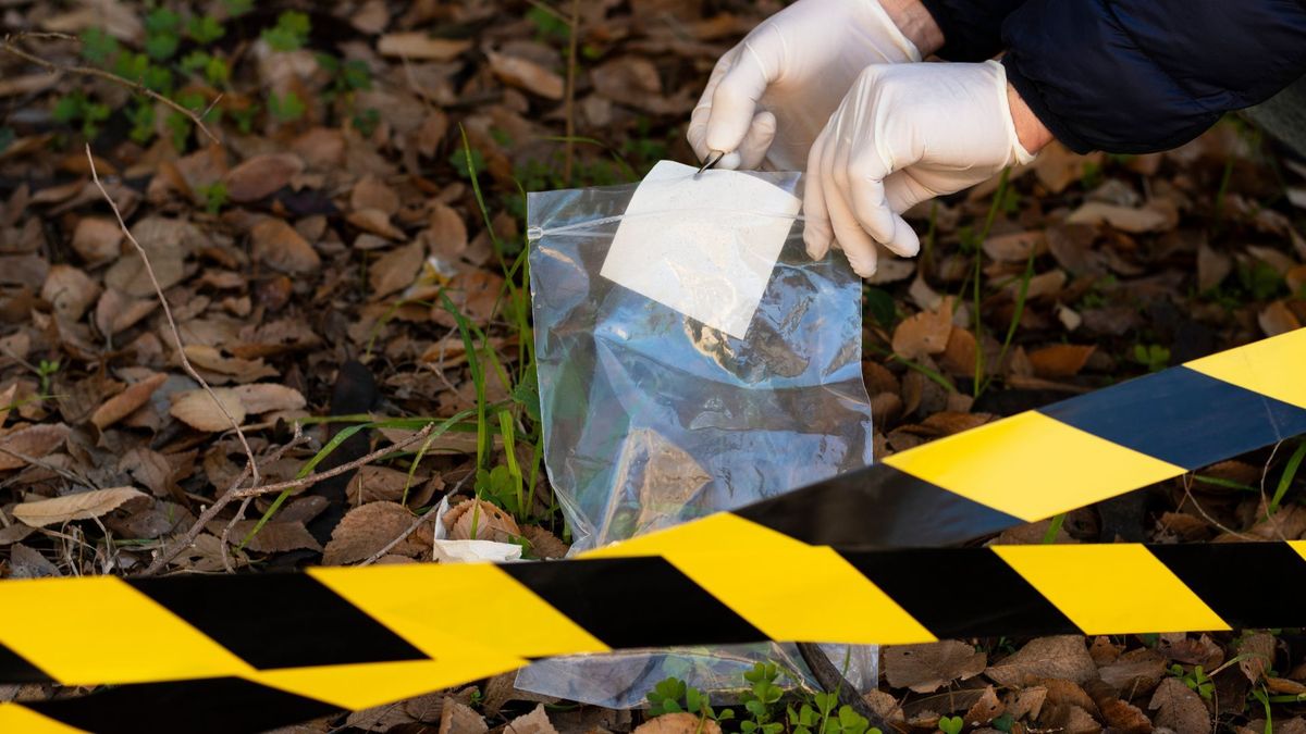 Hallan muerto por herida de bala a diputado en México