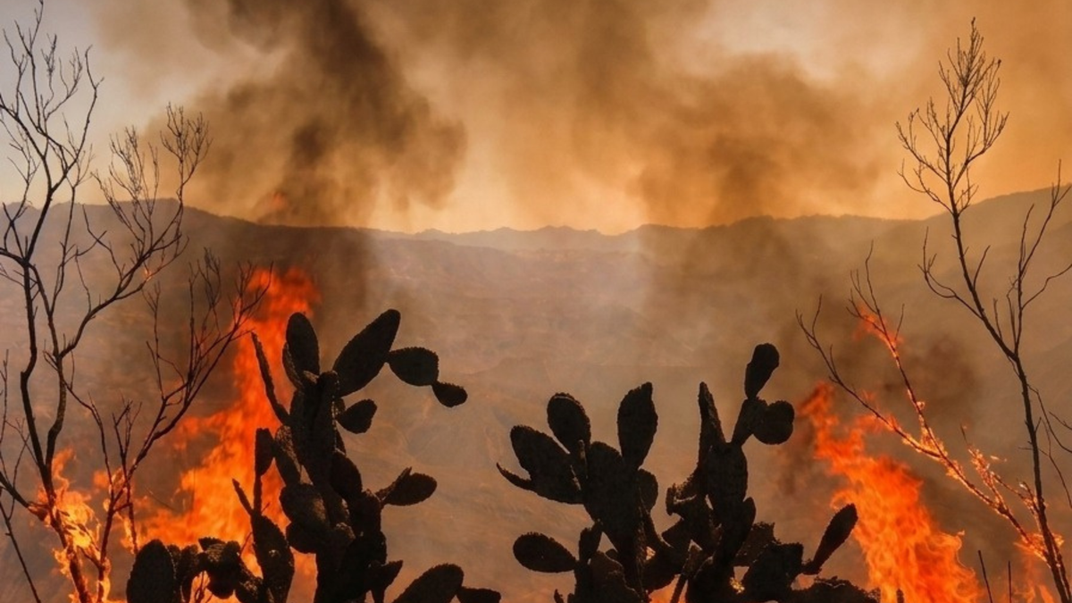 Incendios Boaycá