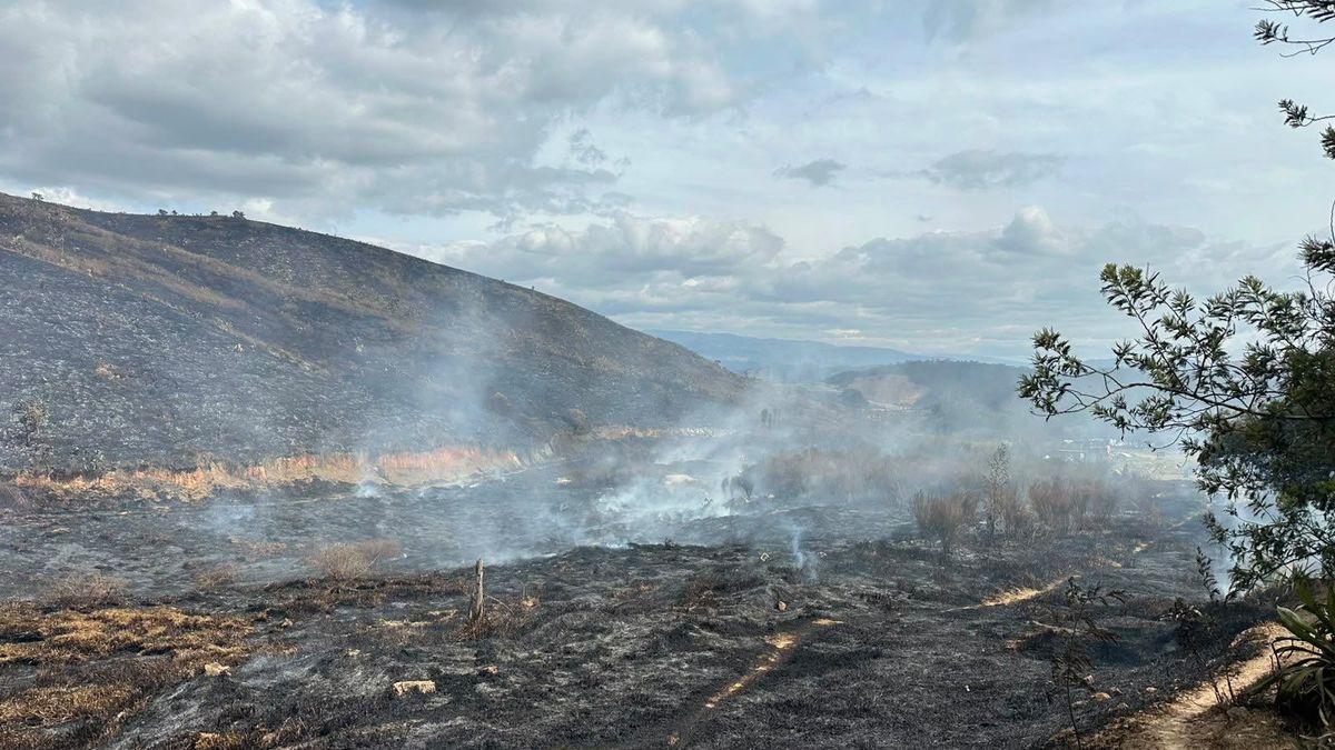 Incendios forestales