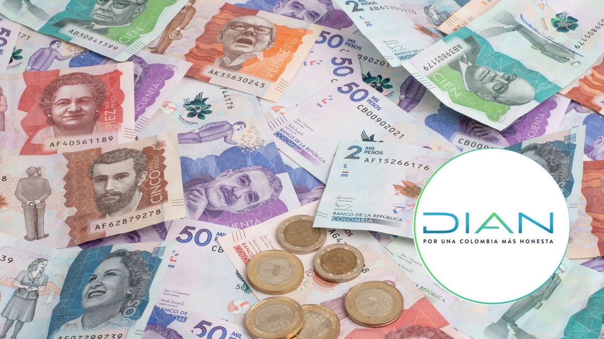 Las cédulas que deben declarar entre la semana del 7 al 11 de septiembre.