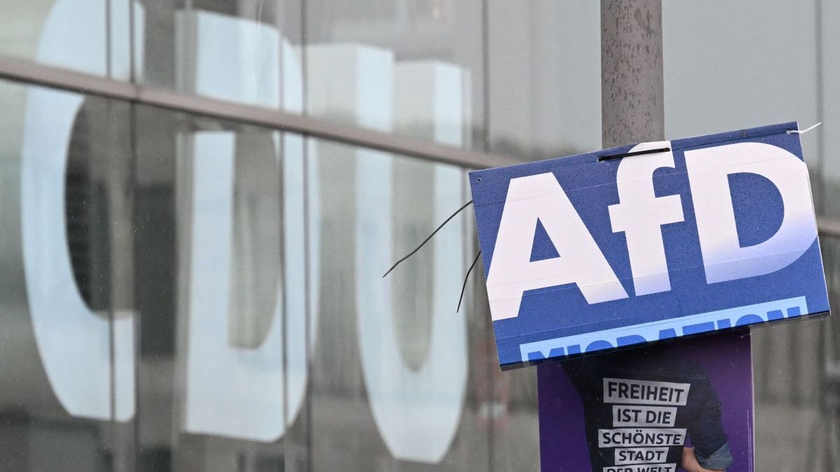 AfD Alemania