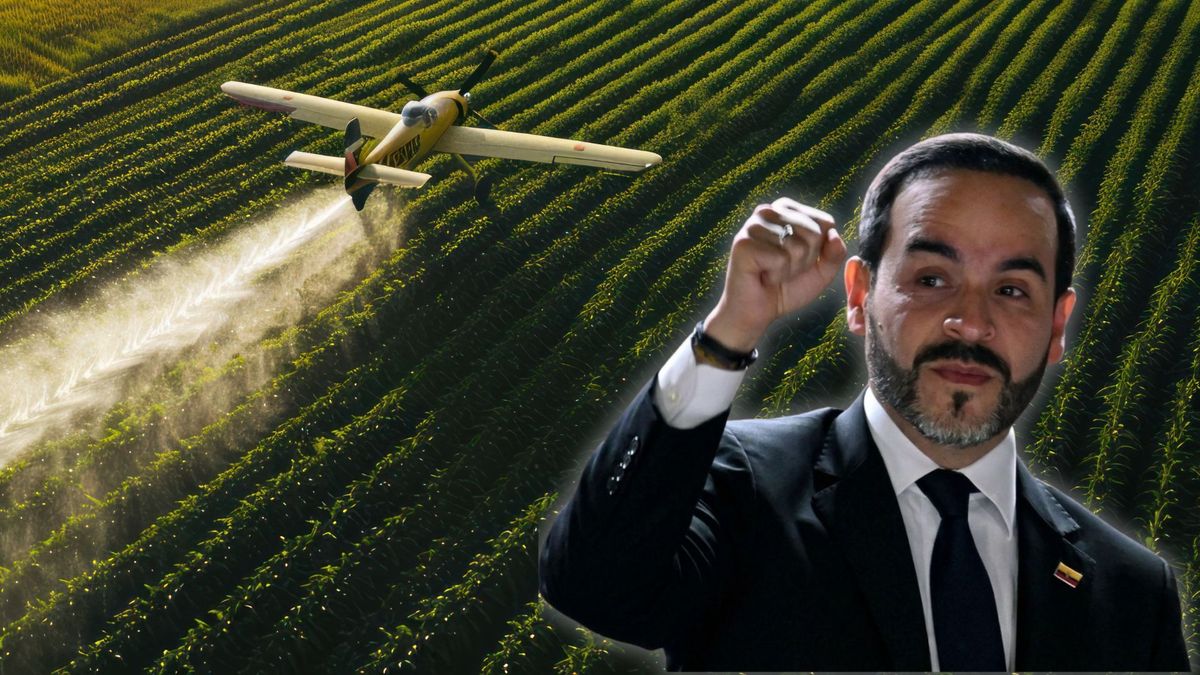 Por medio de un plan piloto se realizarán procesos para acabar con cultivos de coca.
