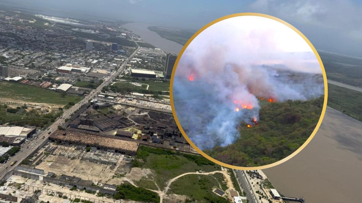 Sobrevuelos Parque Isla Salamanca. Incendio forestal.