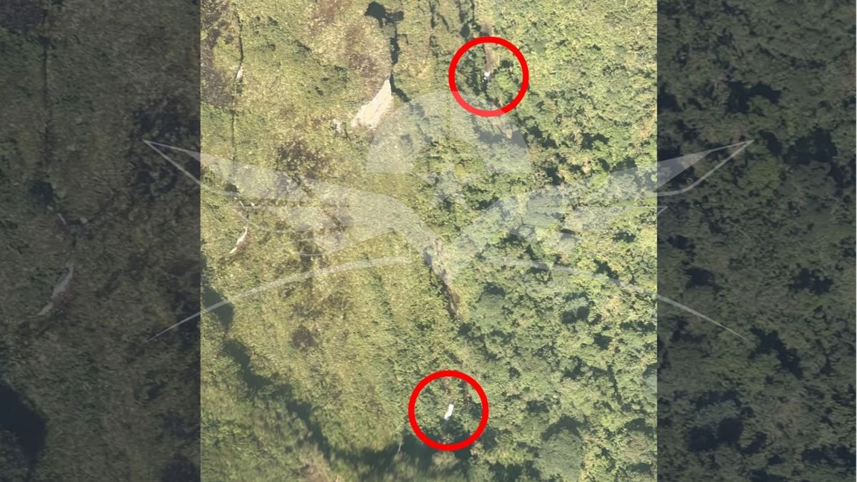 Fuerza Aérea ubicó aeronave perdida cuando cubría la ruta Condoto - Guaymaral