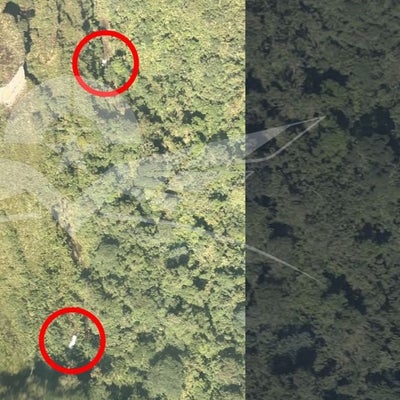 Fuerza Aérea ubicó aeronave perdida cuando cubría la ruta Condoto - Guaymaral